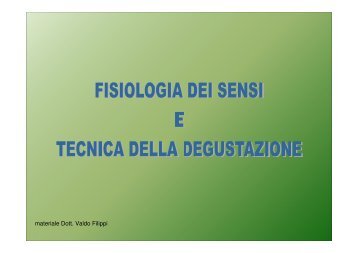 Fisiologia dei sensi e tecnica della degustazione