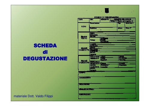 Fisiologia dei sensi e tecnica della degustazione