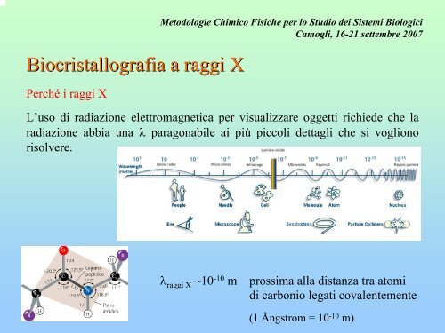 Biocristallografia a raggi X