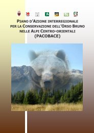 PACOBACE def1ottOK - Orso - Provincia autonoma di Trento