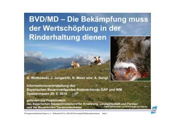 Vortrag als PDF herunterladen - Tiergesundheitsdienst Bayern eV