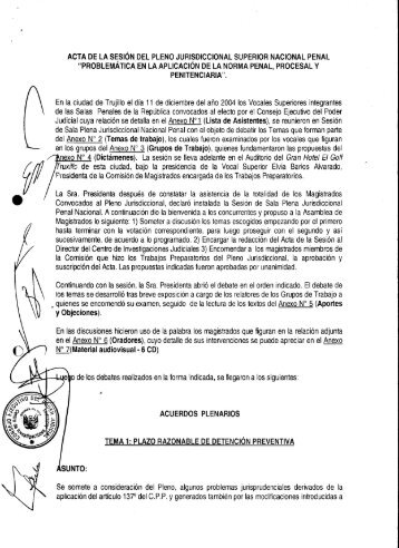 Acta de la sesión del Pleno Jurisdiccional Superior Nacional Penal ...