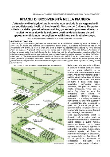 RITAGLI DI BIODIVERSITÀ NELLA PIANURA - Il divulgatore