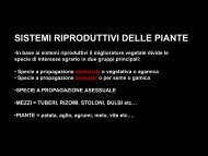 Sistemi riproduttivi / Maschiosterità e Incompatibilità