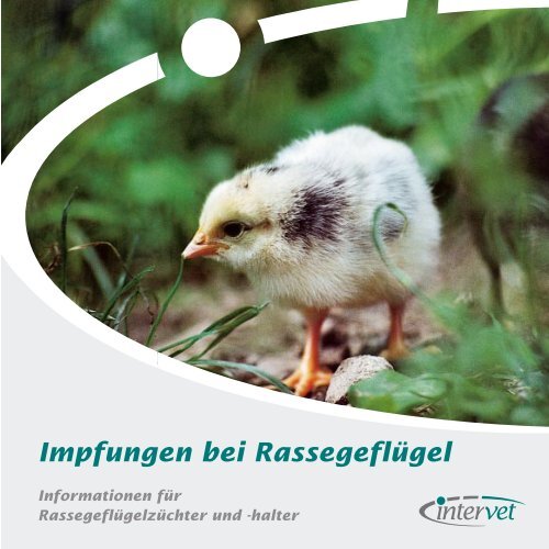 Impfungen bei Rassegeflügel - KV Wittgenstein