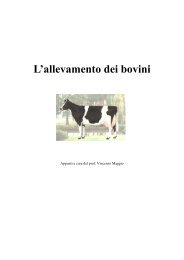 L'allevamento dei bovini con correzioni.pdf - Iissmussomeli.it