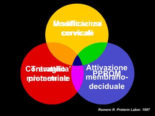 dott. G. Conoscenti - AOGOISICILIA.net