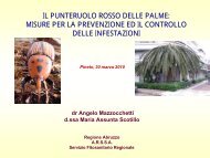 Presentazione punteruolo rosso - Comune di Pineto