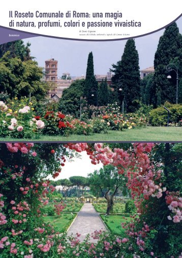 Il Roseto Comunale di Roma: una magia di natura, profumi, colori e ...