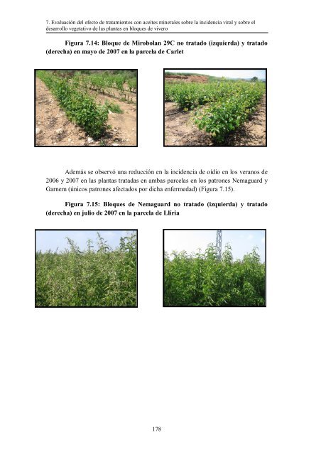 Epidemiología de Plum pox virus y Citrus tristeza virus en bloques ...