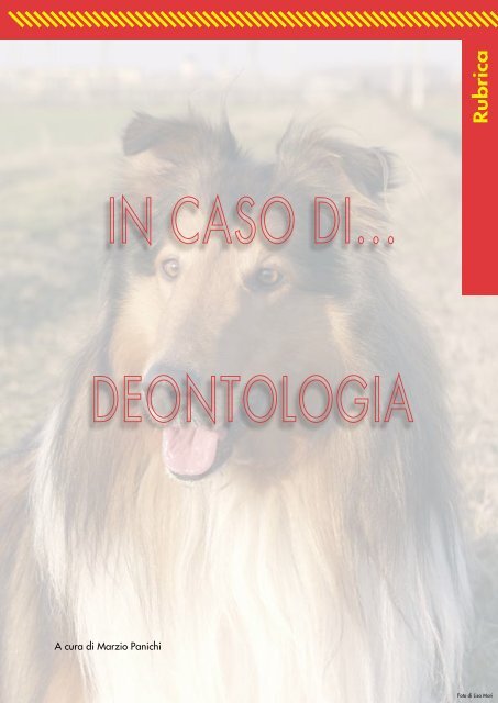 strategie dietetiche per ridurre l'odore delle feci di cani e gatti - AIVPA