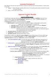 morti 2.pdf - AppuntiMed