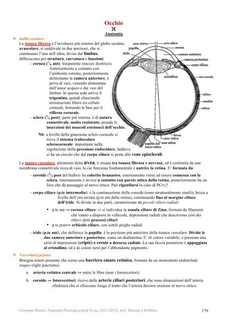 morti 2.pdf - AppuntiMed