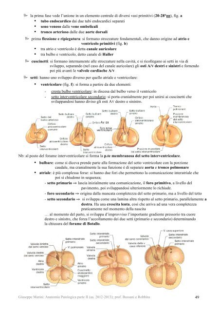 morti 2.pdf - AppuntiMed