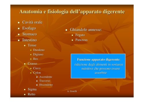 7 Bisogno Di Alimentazione