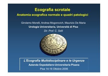 Ecografia scrotale - Clinica Urologica Universitaria di Pisa