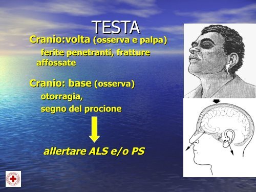 Primo Soccorso delle ferte ed emorragie. - Cri Fossombrone