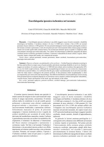 Encefalopatia ipossico-ischemica nel neonato - Istituto Superiore di ...