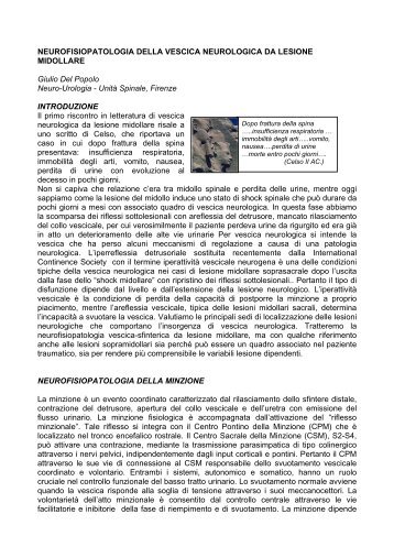 neurofisiopatologia della vescica neurologica da lesione - Somipar