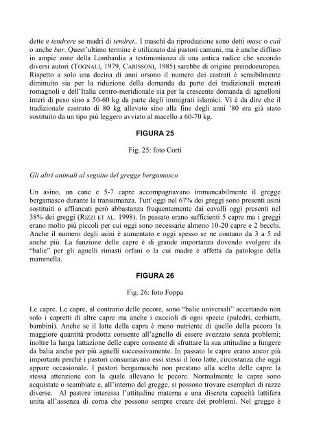 La pecora bergamasca. Storia e presente di una razza ... - Ruralpini