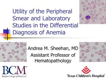 Utility of the peripheral smear and laboratory studies in the ...