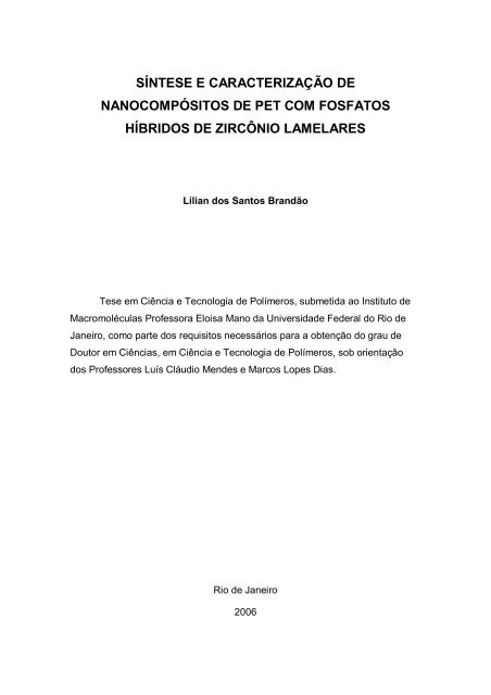 Lílian dos Santos Brandão SÍNTESE E CARACTERIZAÇÃO DE ...