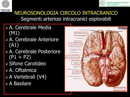 NEUROSONOLOGIA DEL DISTRETTO INTRACRANICO - siemg