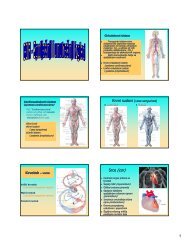 12. predavanje Vlajkovic.pdf