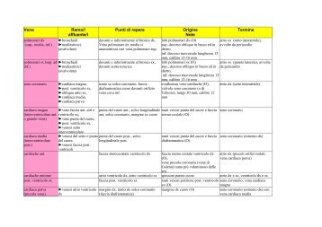 Vena Termine Ramo/i affluente/i Punti di repere Origine ... - MedWiki