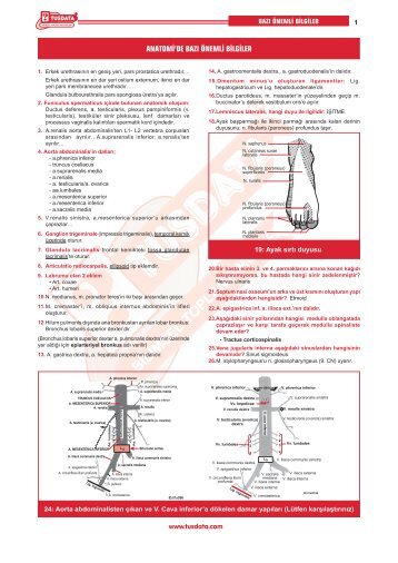 anatomi'de bazı önemli bilgiler - DrTus