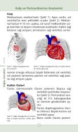 Kalp ve Pericardium'un Anatomisi - jcam.com.tr
