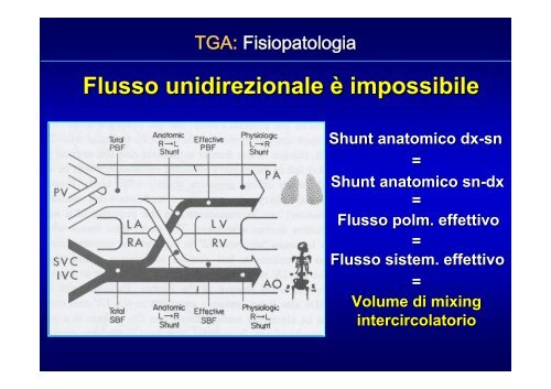 Cardiopatie Congenite Cianogene - Uticlab.It