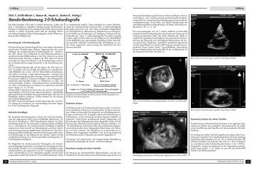 Standortbestimmung 3-D-Echokardiografie - qs- nrw