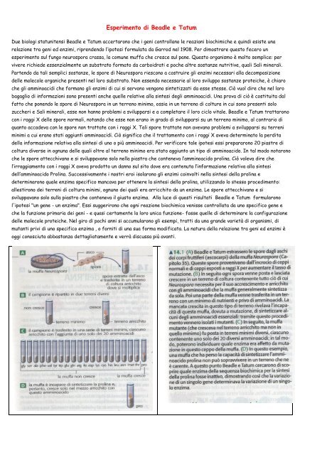 Genetica molecolare parte1 - Itis Fondi