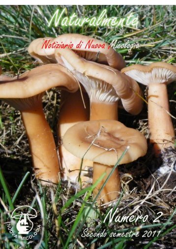 Numero 2 - Nuova Micologia