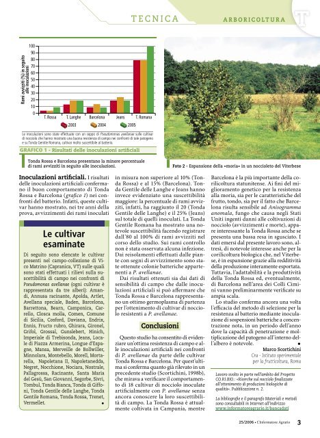 Tonda Rossa e Barcelona, noccioli resistenti alla moria - Atlas Plant ...