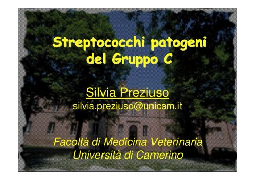 Streptococchi patogeni del Gruppo C - Cuteri.eu