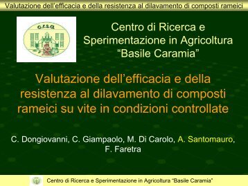 Valutzione efficacia e resistenza al dilavamento dei composti rameici