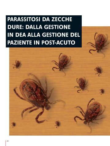 Scaricare l'articolo in formato pdf - Sicurezza Sanitaria