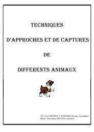 l'animal - Ecole des sapeurs pompiers du Haut-Rhin