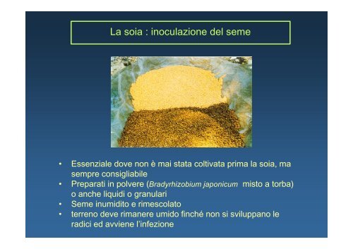 leguminose da granella - Università degli Studi della Tuscia