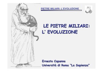 LE PIETRE MILIARI: L' EVOLUZIONE