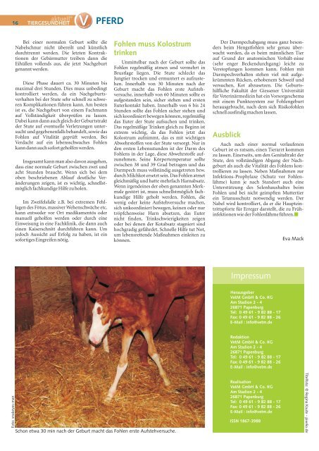 Pferd 1-2011.pdf