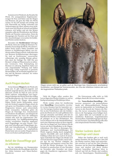 Pferd 02 2012 A4.cdr - Dr. Hubertus Nebe