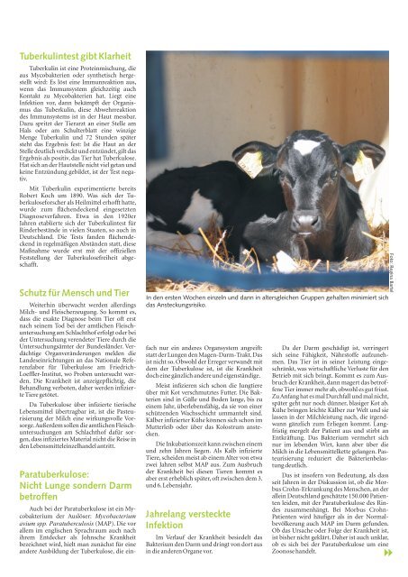 Rind 04-2012.pdf