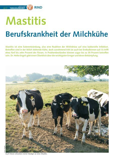 Rind 3-2012.pdf