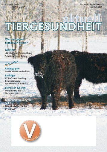 Rind 1-2011.pdf