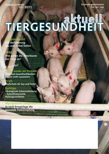 Schwein 3-2011.pdf