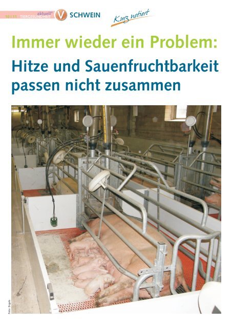 Schwein 3-2011.pdf