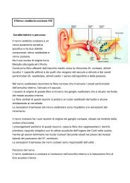 Caratteristiche e percorso Il nervo vestibolo-cocleare è un ... - Ishin.it